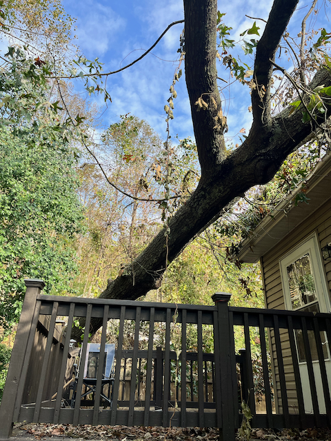 Hurricane Helene House Damage, Fletcher, NC